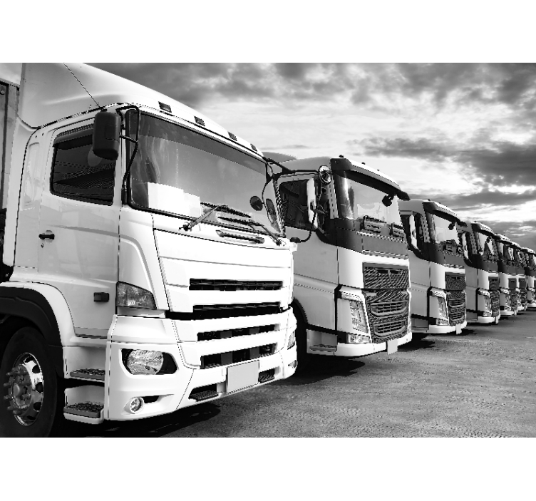 Trucks lined up wall mural - TenStickers