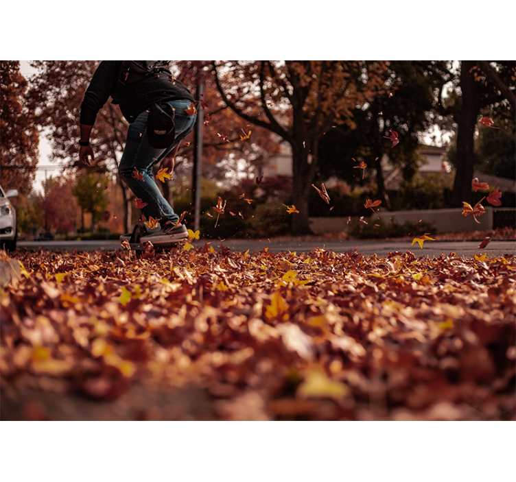 Skate autumnal wall mural - TenStickers