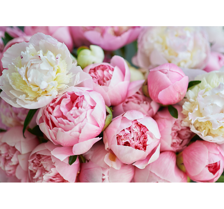 Flower mural peony blossom collection - TenStickers