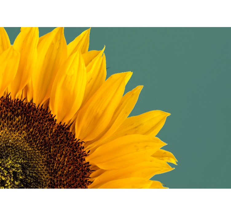 Sunflower close up wall mural - TenStickers