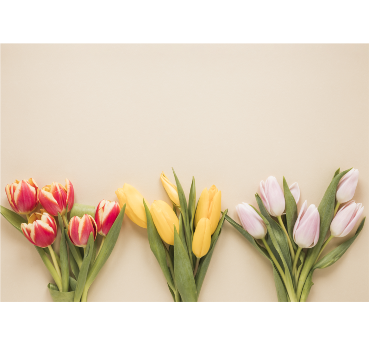 Flower mural colorful tulip arrangement - TenStickers