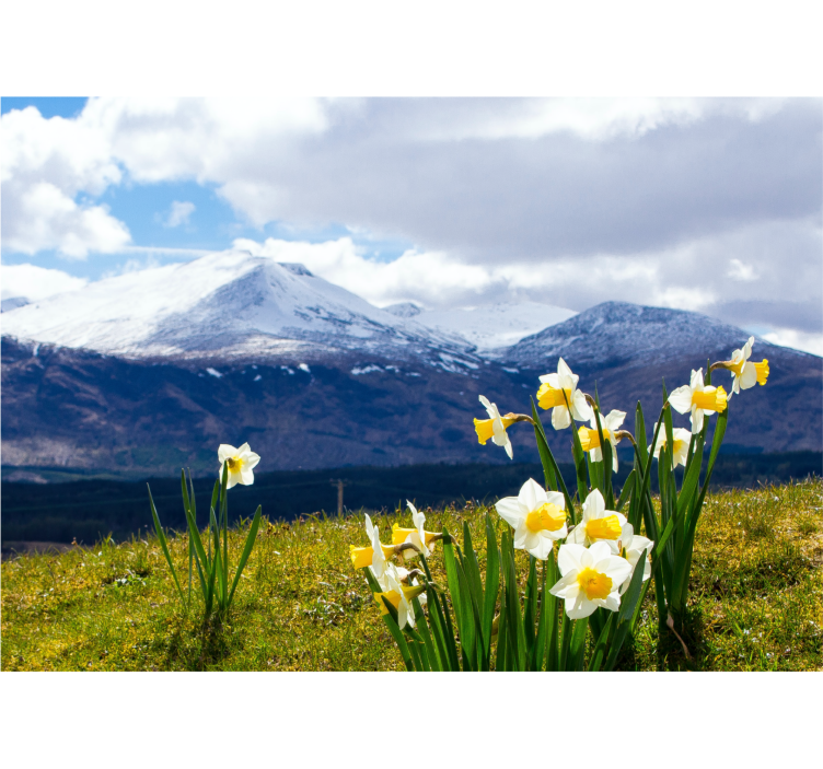 Flower mural daffodils on mountains - TenStickers