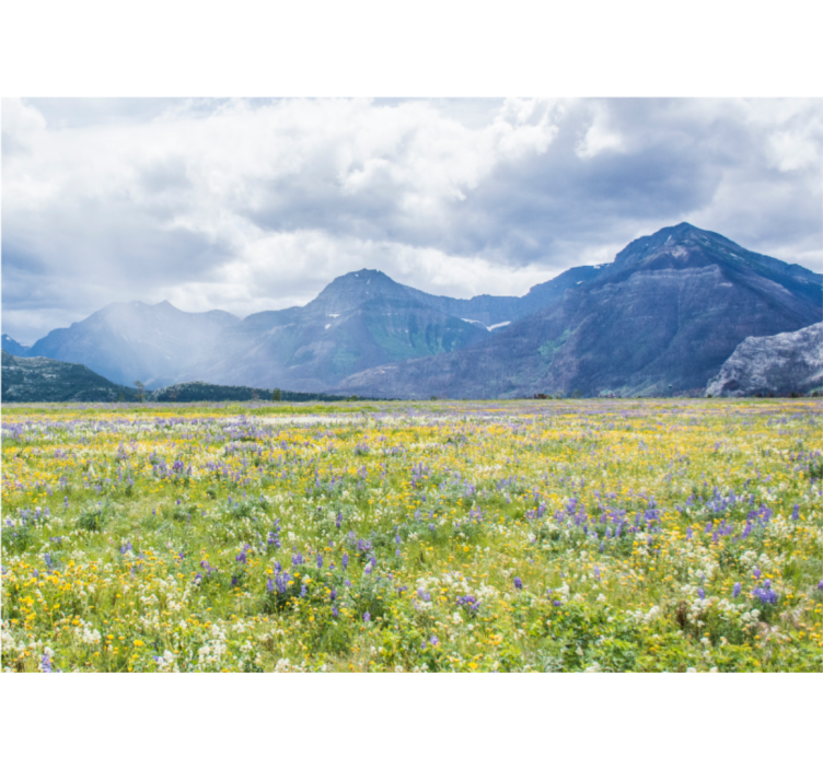 Landscape mural wallpaper mountain flower field - TenStickers