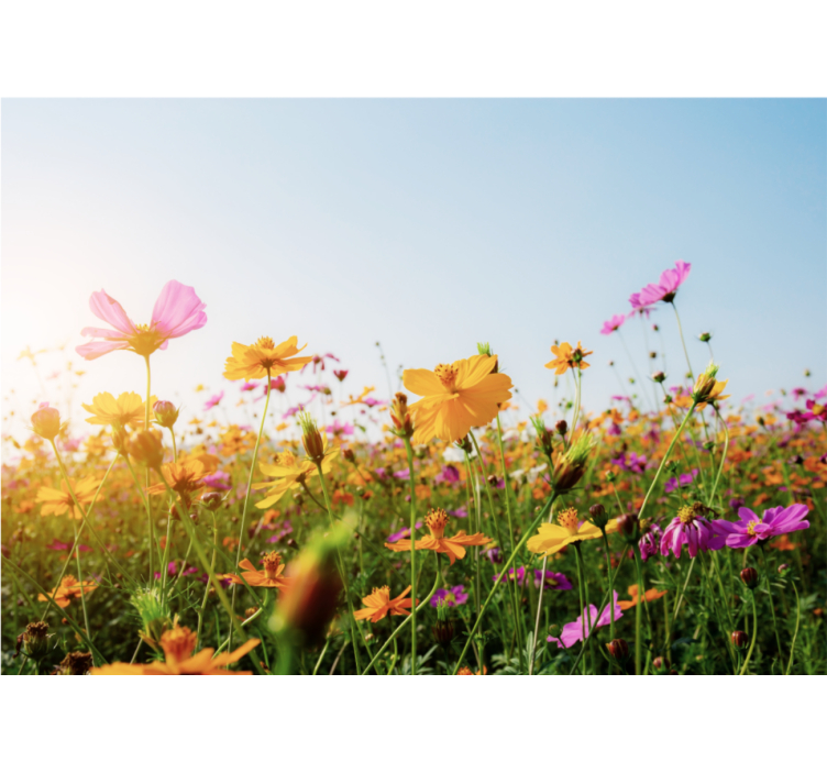 Flower mural colorful blooming flora - TenStickers