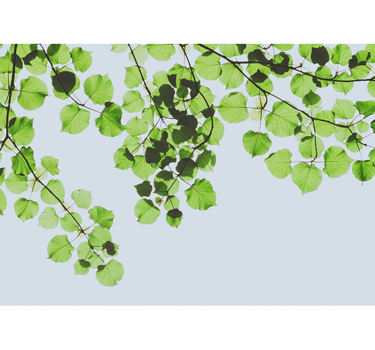 Tree mural leafy branches canopy design - TenStickers