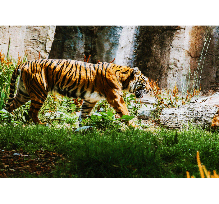 Animal wall mural majestic tiger walking - TenStickers