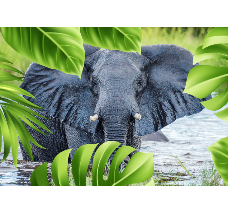 Animal wall mural regal elephant experience - TenStickers
