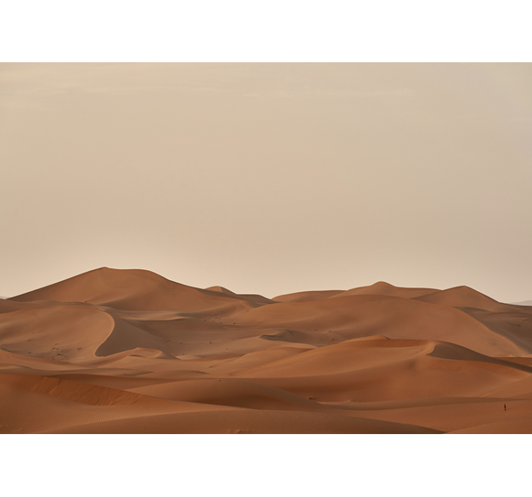 Sand dunes in the living room wall mural - TenStickers
