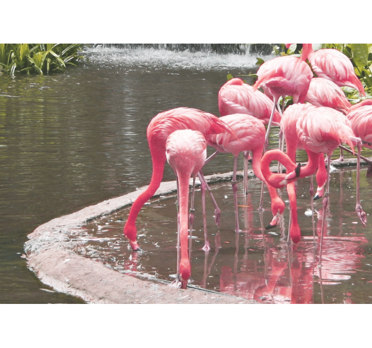 Animal wall mural flamingo assembly - TenStickers