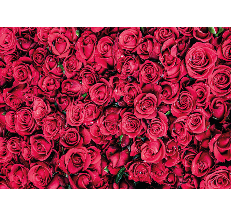 Rose mural of lively rose blossoms - TenStickers