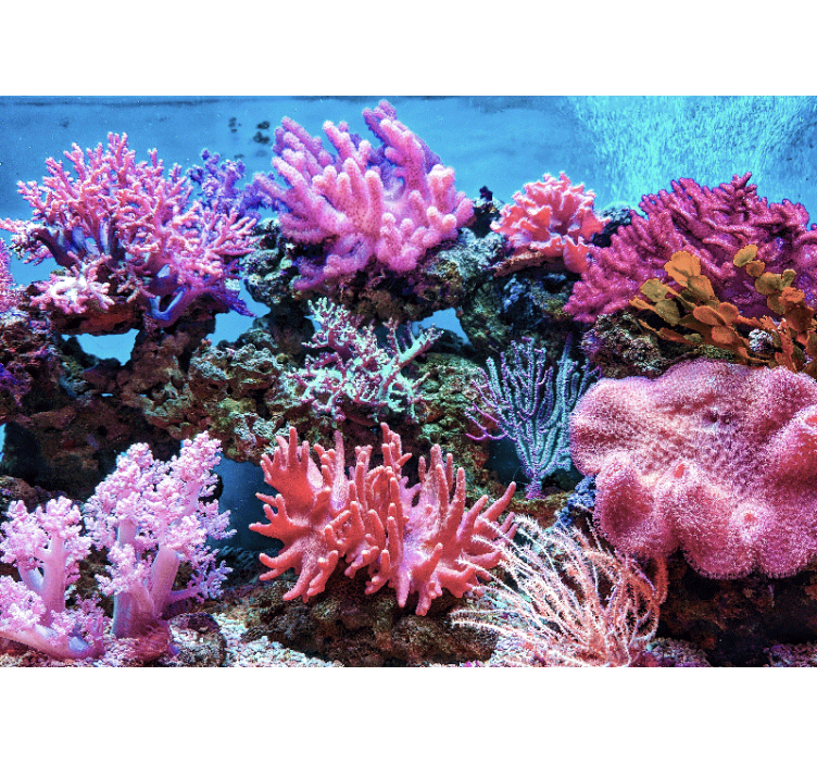 Aquatic Coral Scene sea mural - TenStickers