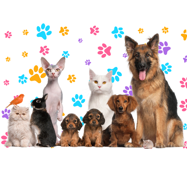 Animal wall mural happy pet friends - TenStickers