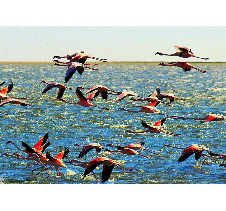 Animal wall mural flying flamingos group - TenStickers
