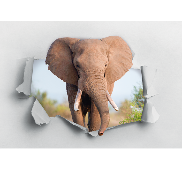 Animal wall mural majestic elephant portrait - TenStickers