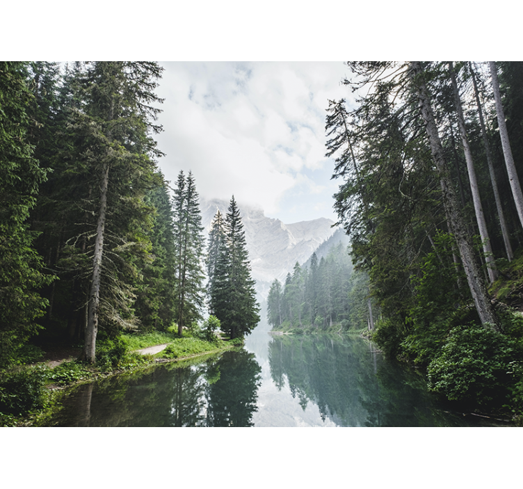 Landscape mural wallpaper tranquil forest echo - TenStickers