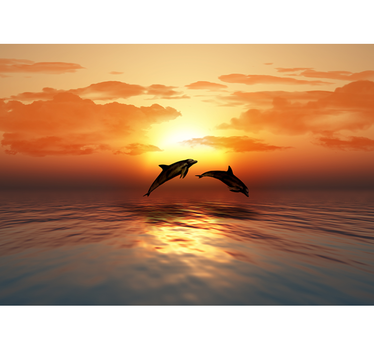 Dolphins Jumping Sunset animal wall mural - TenStickers