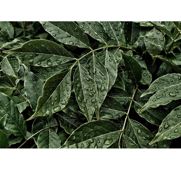 Nature wall mural vibrant foliage design - TenStickers