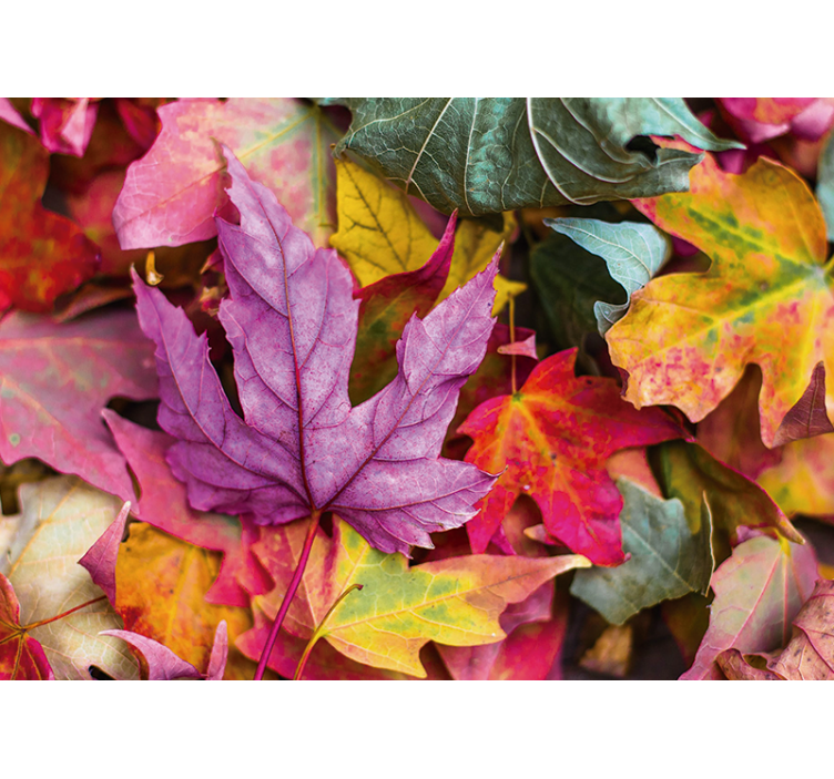 Flower mural with vibrant leaf designs - TenStickers