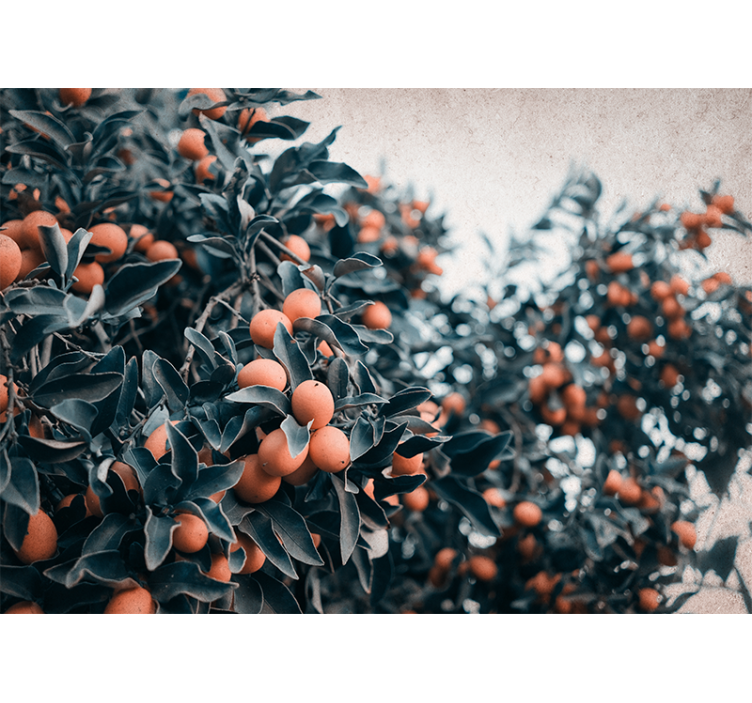 Flower mural citrus fruit branch design - TenStickers