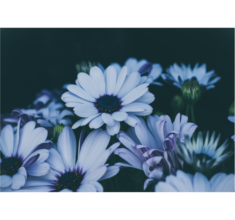 Flower mural serene floral composition - TenStickers