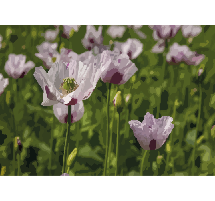 Poppy wall mural floral elegance - TenStickers