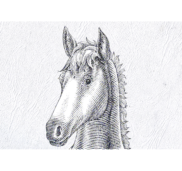 Animal wall mural elegant horse portrait - TenStickers