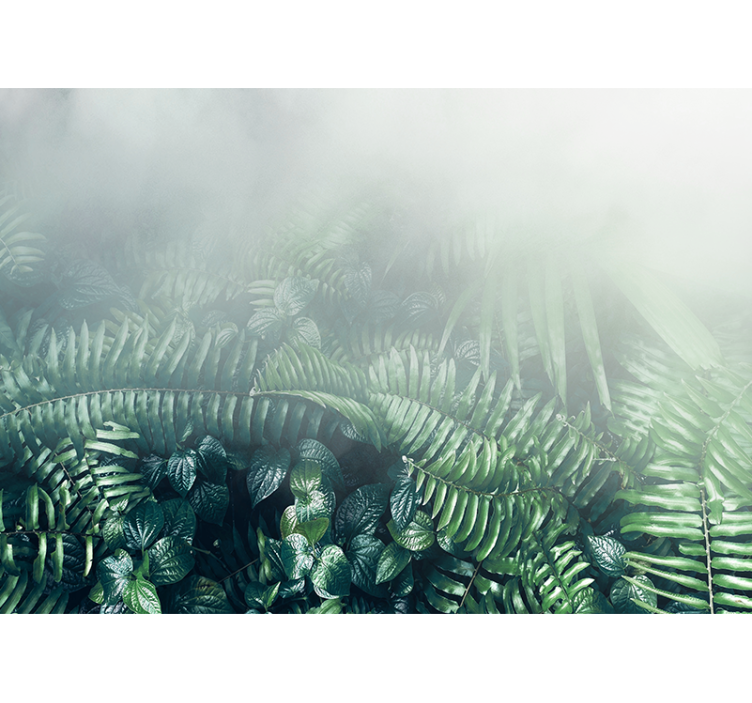 Foggy tropical forest modern wall mural - TenStickers