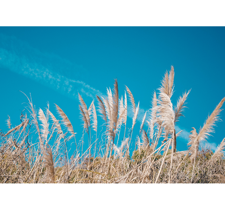 Flower mural pampas grass serenity - TenStickers
