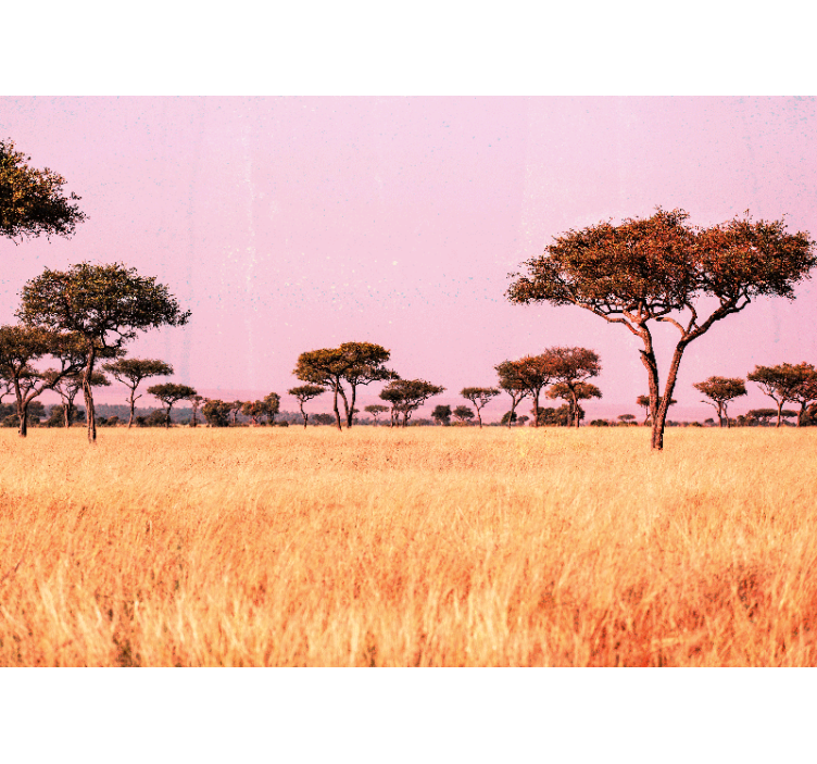 Serene savanna landscape landscape mural wallpaper - TenStickers