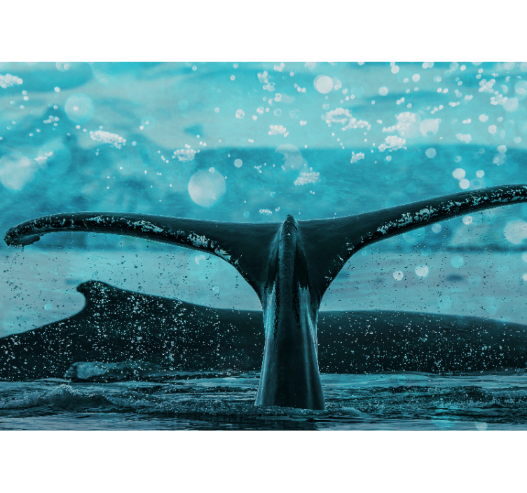 Animal wall mural whale fluke splash - TenStickers