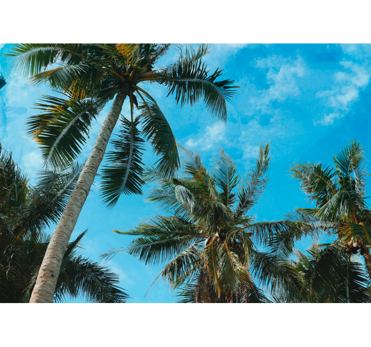 Palm trees under sky photo tree mural - TenStickers