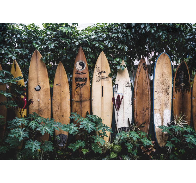 Vehicle mural surfboards on show - TenStickers