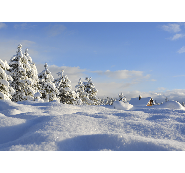 Landscape mural wallpaper winter snowy scene - TenStickers