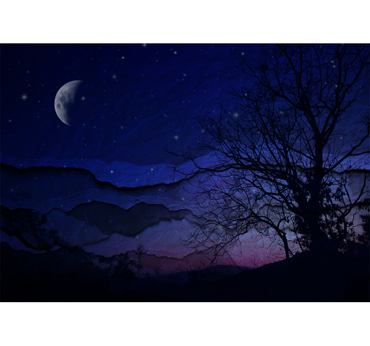 Sky mural moonlit night sky - TenStickers