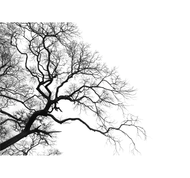 Tree mural leafless branches silhouette - TenStickers