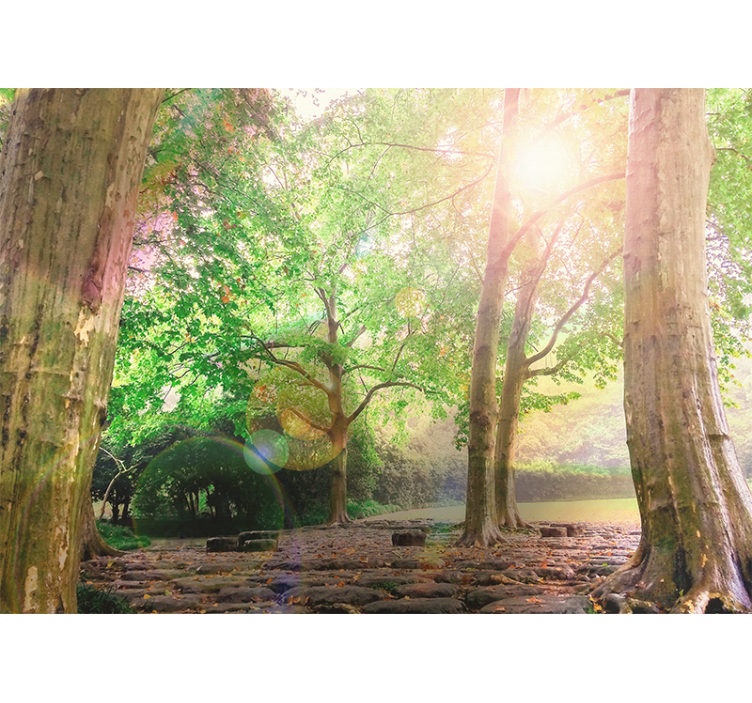 Nature wall mural lush greenery calm - TenStickers