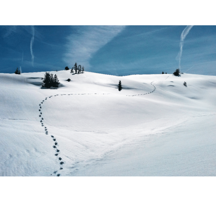 Mountain wall mural snowy mountain trail - TenStickers