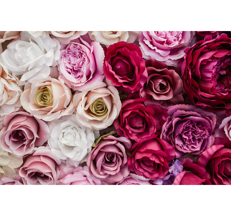 Pink and white roses  wall mural - TenStickers