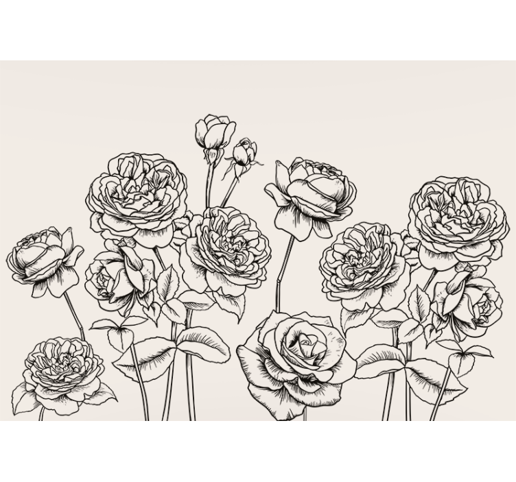 Black and white hand drawn roses wall mural - TenStickers