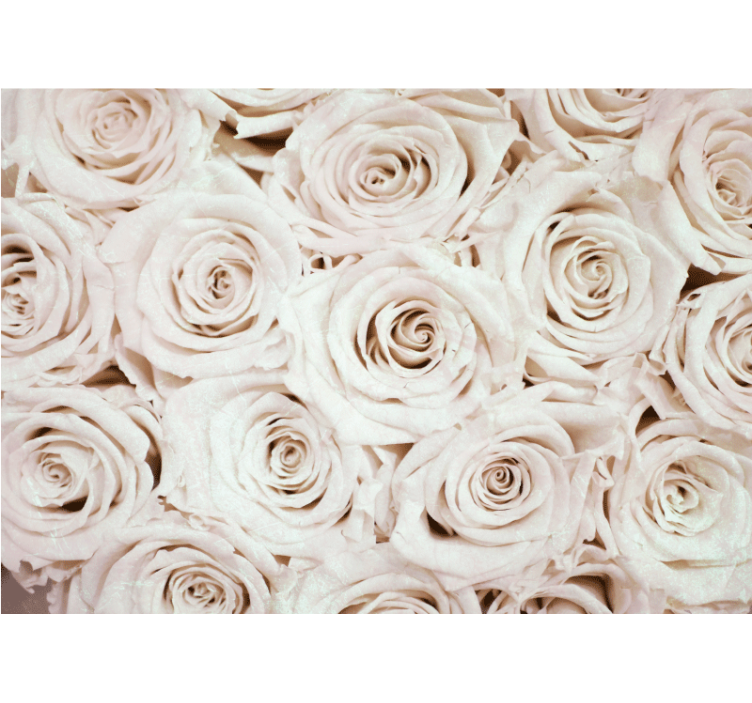 Flower mural soft rose arrangement - TenStickers