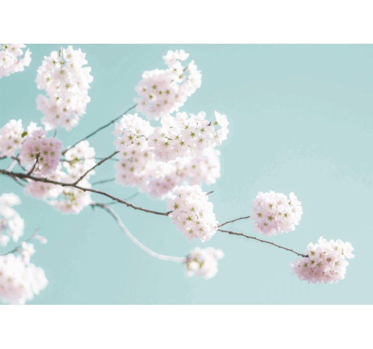 Flower mural sakura blossom branch design - TenStickers