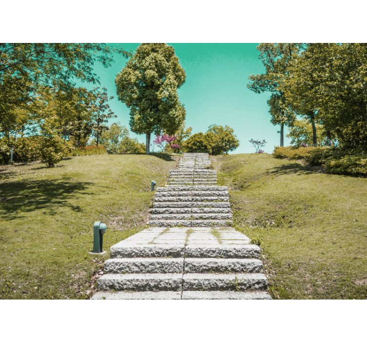 Nature wall mural staircase in the woods - TenStickers