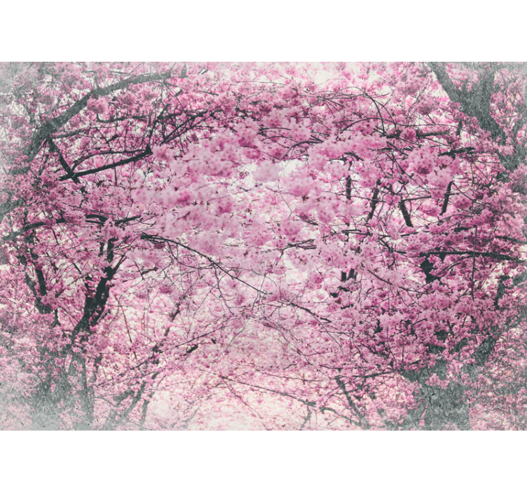 Vibrant cherry blossom trees wall mural - TenStickers