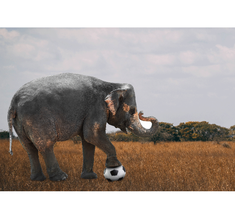 Wall mural of an elephant playing soccer - TenStickers
