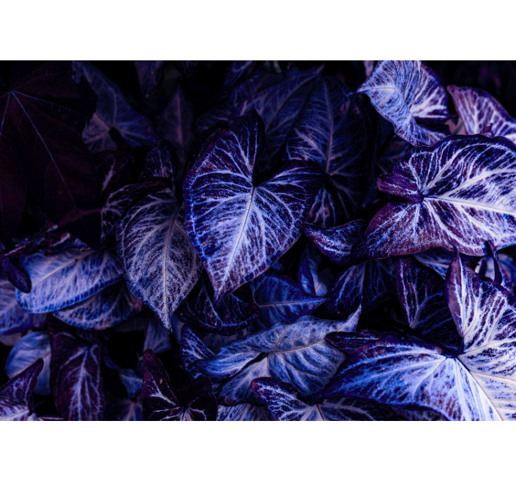 Purple Leaf Patterns mural for living room - TenStickers