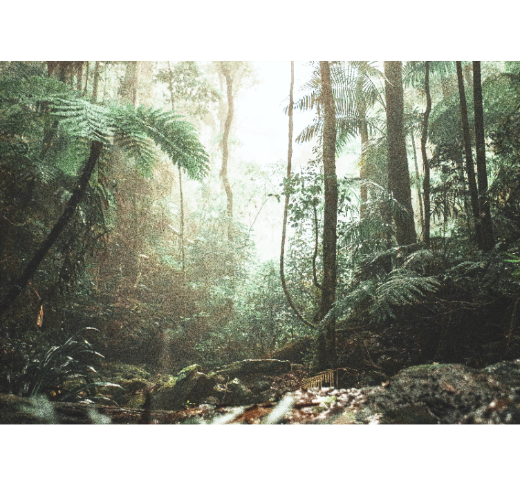Forest wall mural lush jungle calm - TenStickers