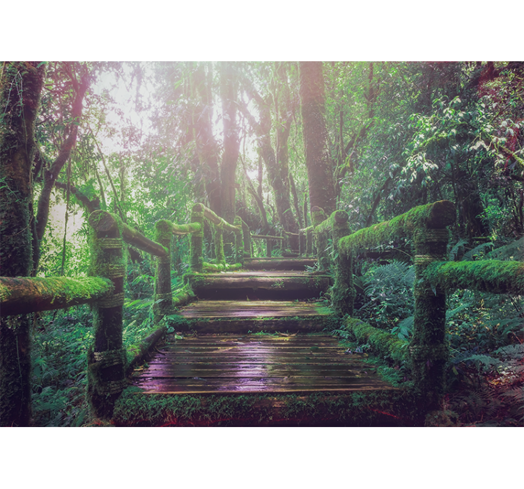 Nature wall mural mossy forest path - TenStickers