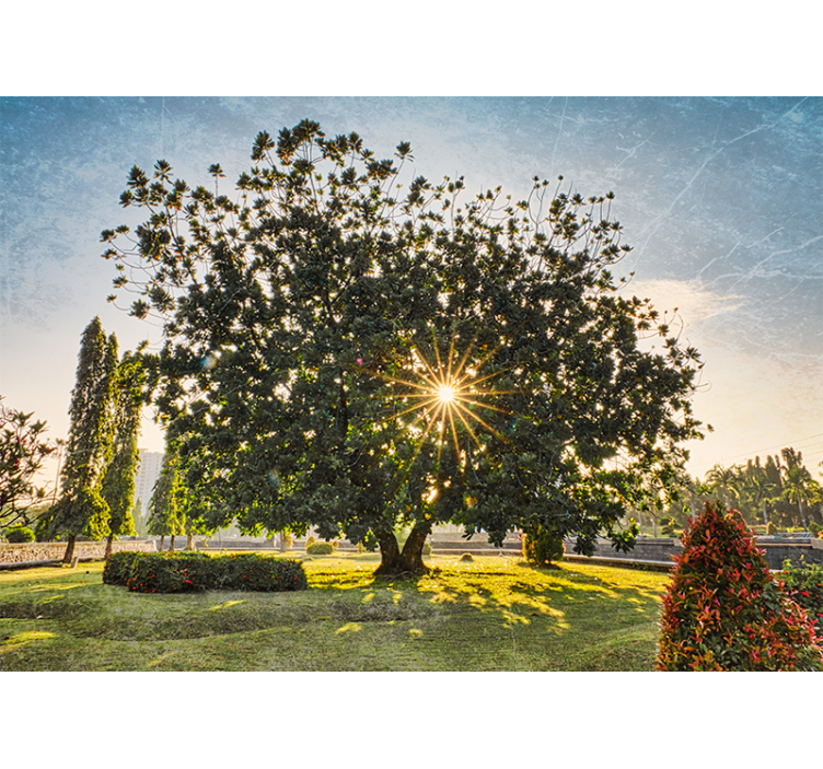 Nature wall mural sunny tree view - TenStickers