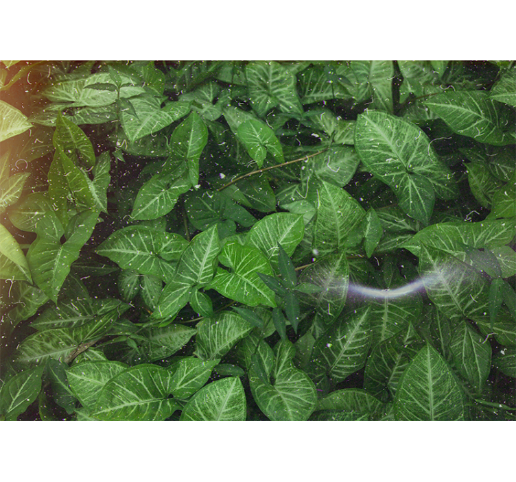 Nature wall mural lively leaf arrangement - TenStickers