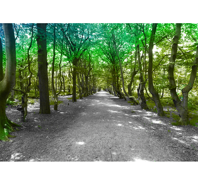 Nature wall mural lush tree pathway - TenStickers